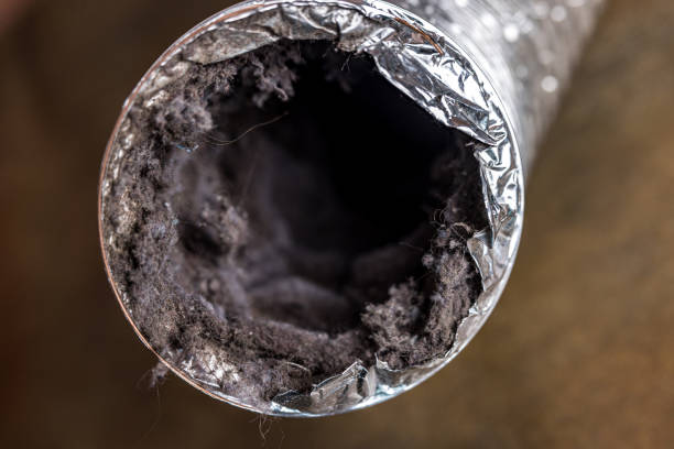 Best Air Duct Cleaning Company Near Me  in Avon Park, FL